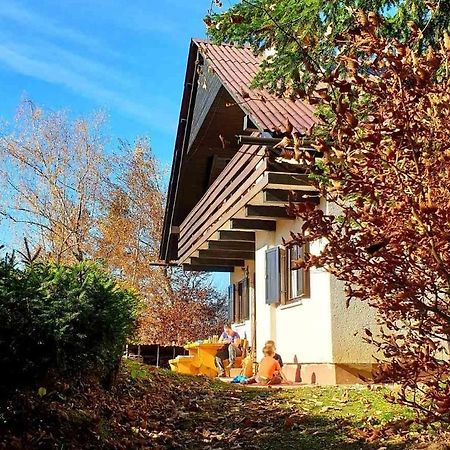 ゴレンスカ地方 Pet & Family Friendly House Viktorija - House Near Golica With Triglav Viewヴィラ エクステリア 写真