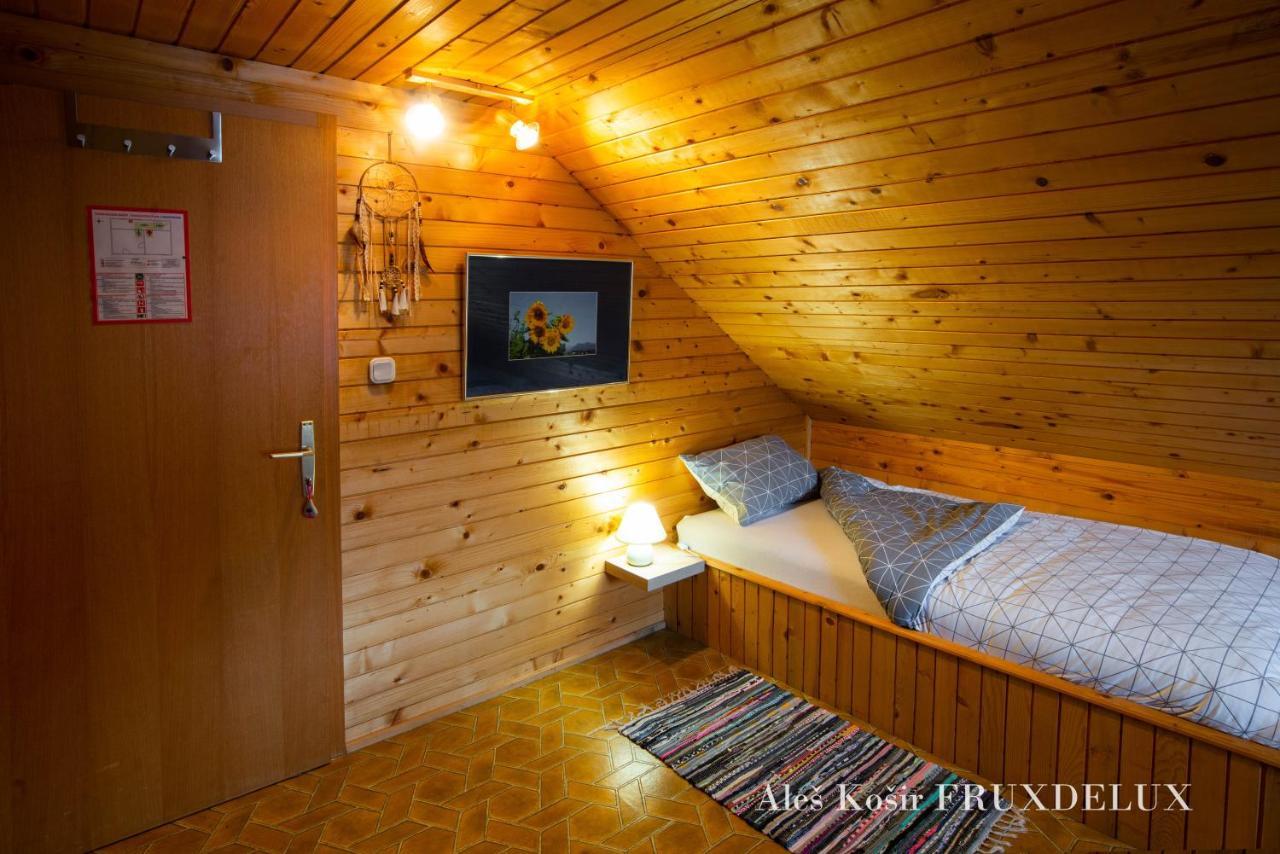 ゴレンスカ地方 Pet & Family Friendly House Viktorija - House Near Golica With Triglav Viewヴィラ エクステリア 写真