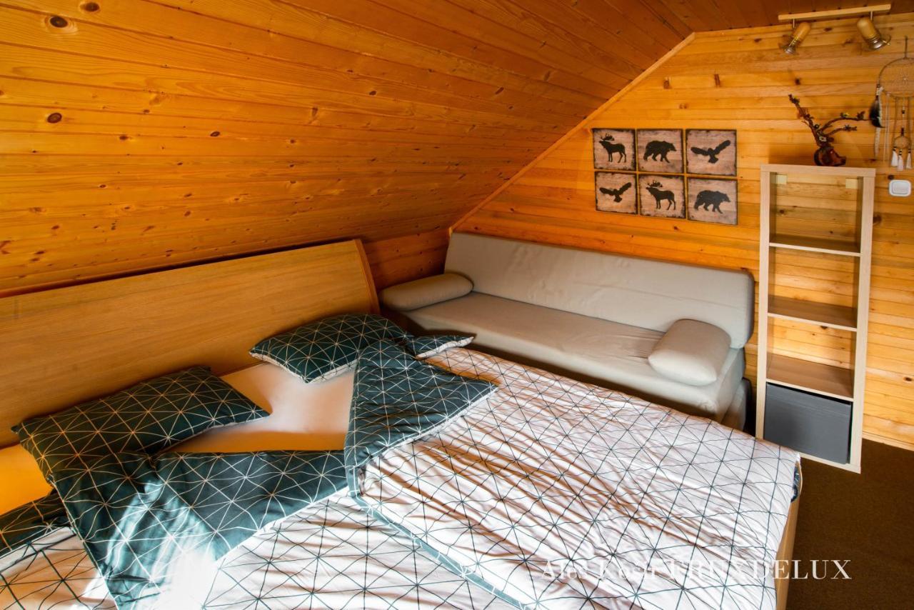 ゴレンスカ地方 Pet & Family Friendly House Viktorija - House Near Golica With Triglav Viewヴィラ エクステリア 写真