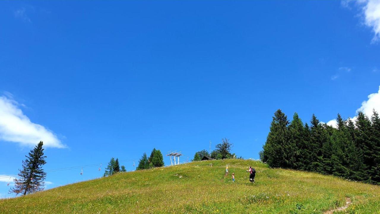 ゴレンスカ地方 Pet & Family Friendly House Viktorija - House Near Golica With Triglav Viewヴィラ エクステリア 写真