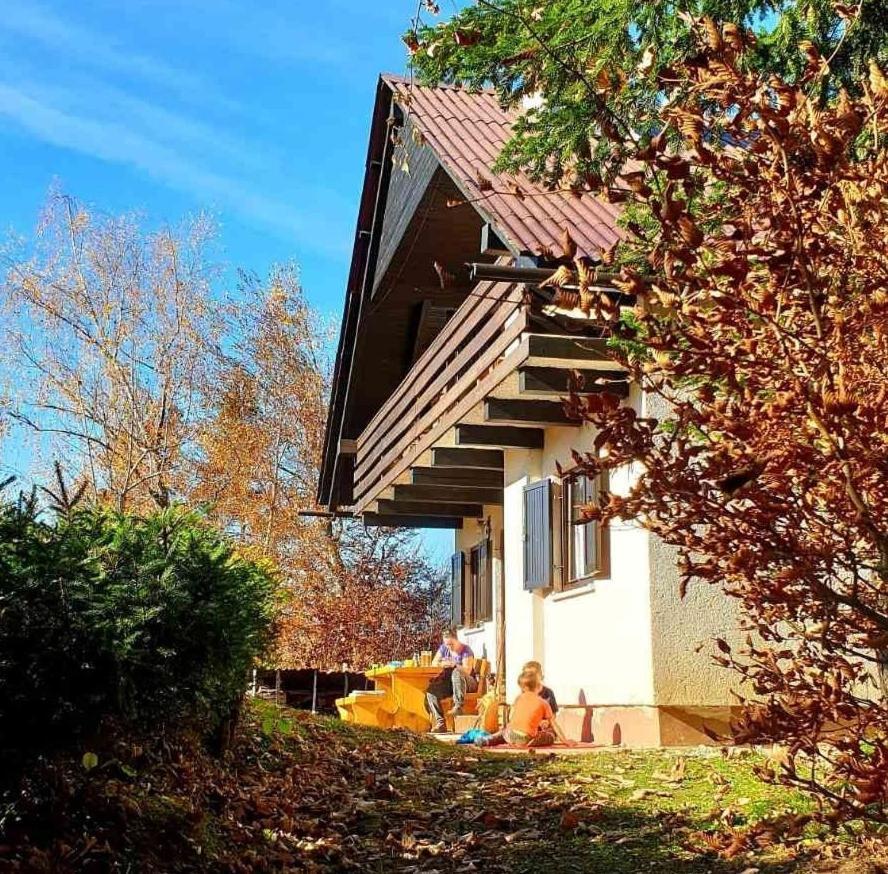 ゴレンスカ地方 Pet & Family Friendly House Viktorija - House Near Golica With Triglav Viewヴィラ エクステリア 写真