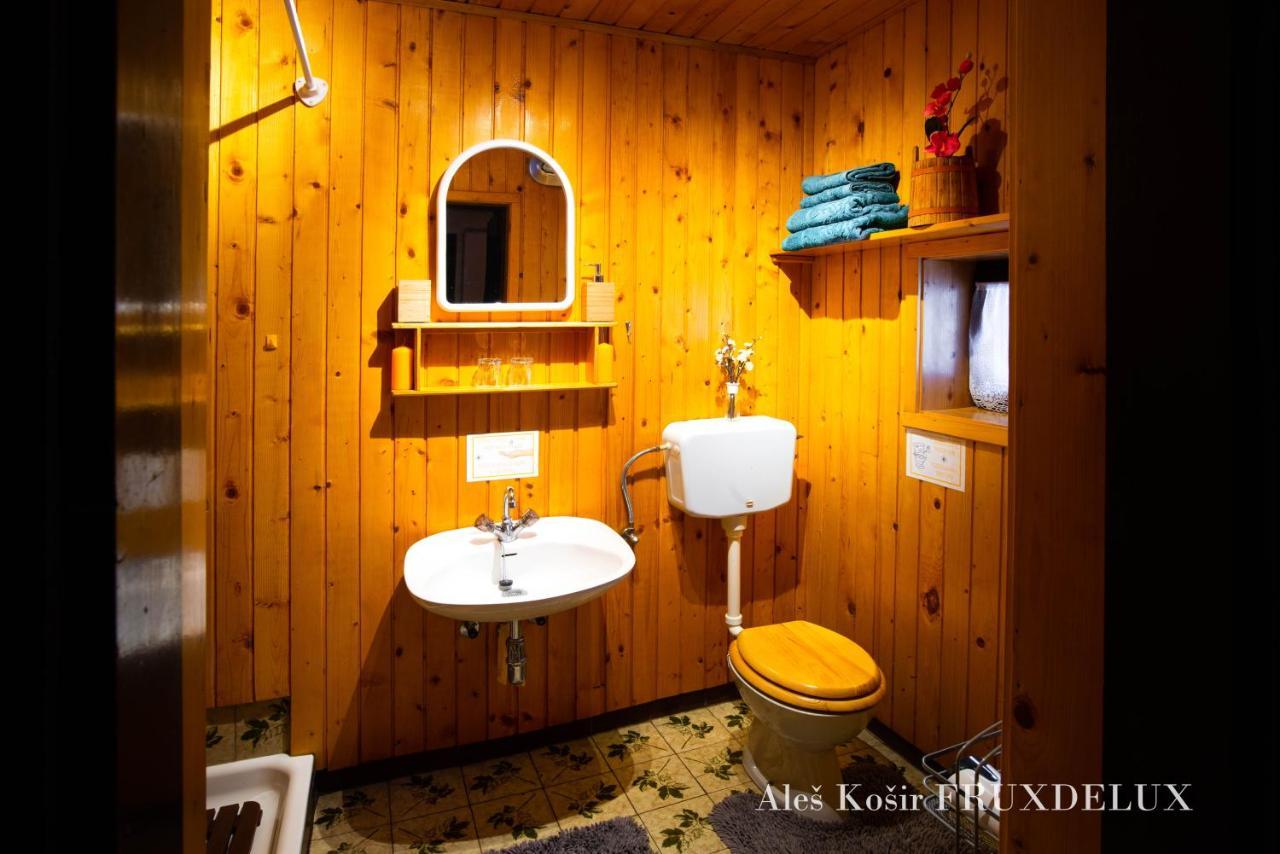 ゴレンスカ地方 Pet & Family Friendly House Viktorija - House Near Golica With Triglav Viewヴィラ エクステリア 写真