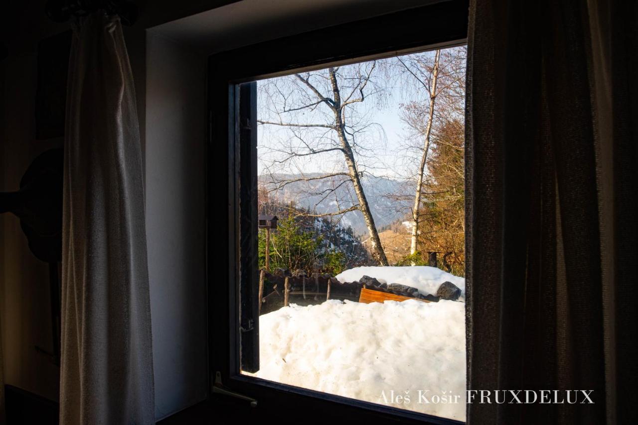 ゴレンスカ地方 Pet & Family Friendly House Viktorija - House Near Golica With Triglav Viewヴィラ エクステリア 写真
