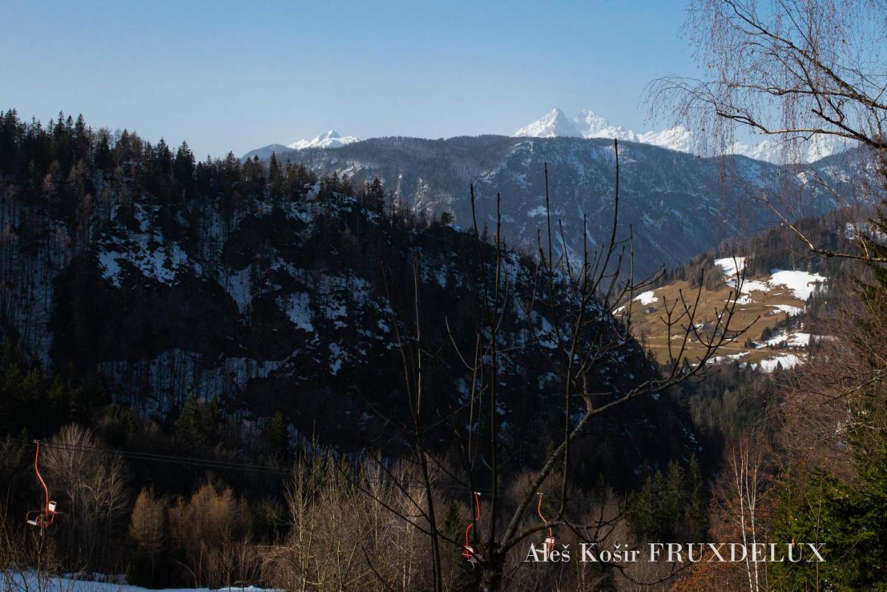 ゴレンスカ地方 Pet & Family Friendly House Viktorija - House Near Golica With Triglav Viewヴィラ エクステリア 写真