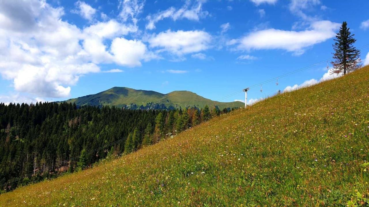 ゴレンスカ地方 Pet & Family Friendly House Viktorija - House Near Golica With Triglav Viewヴィラ エクステリア 写真