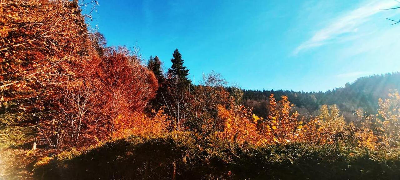 ゴレンスカ地方 Pet & Family Friendly House Viktorija - House Near Golica With Triglav Viewヴィラ エクステリア 写真