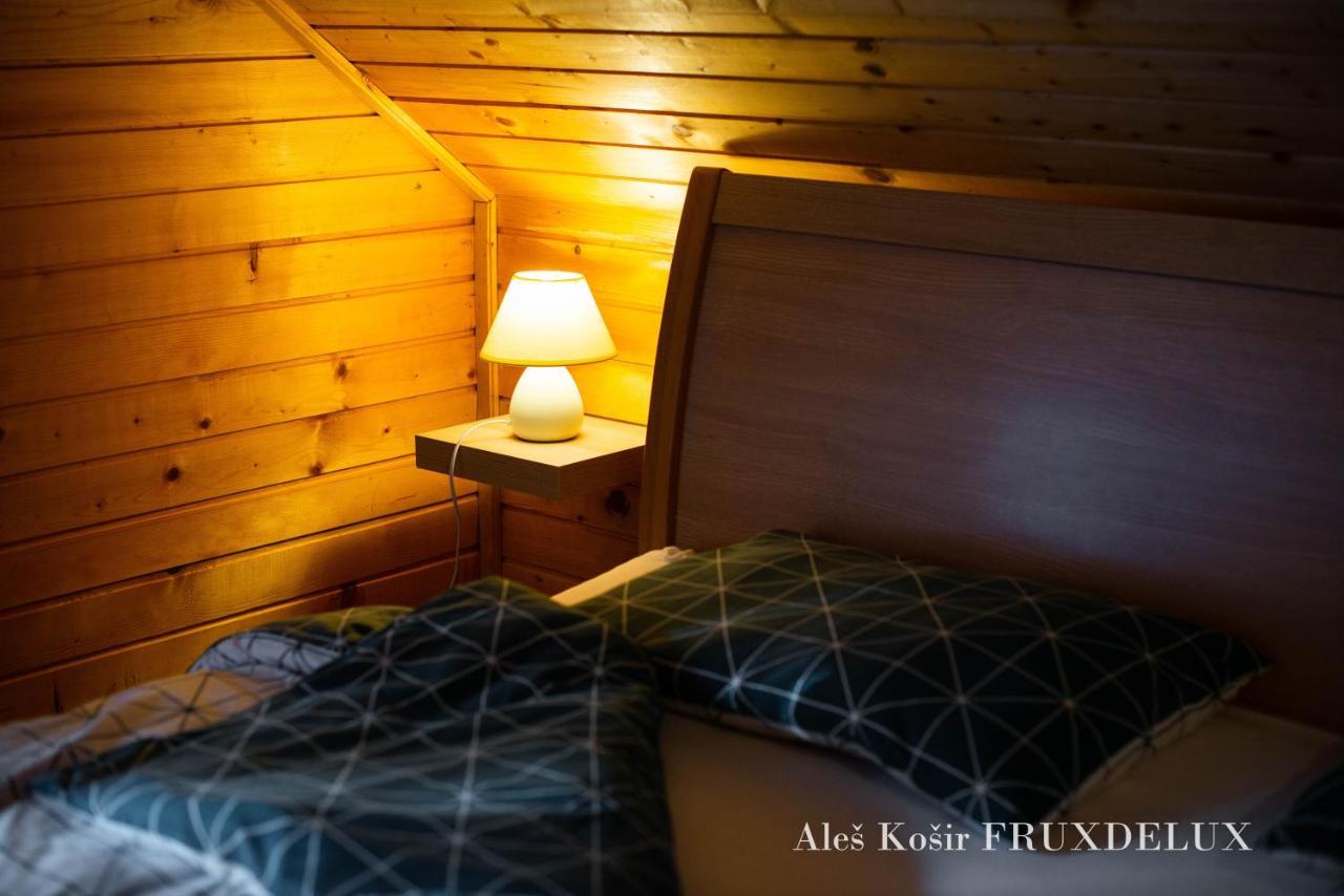 ゴレンスカ地方 Pet & Family Friendly House Viktorija - House Near Golica With Triglav Viewヴィラ エクステリア 写真