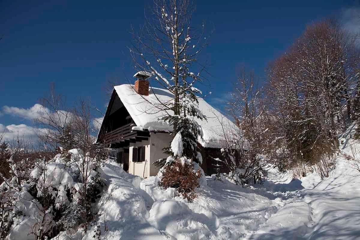 ゴレンスカ地方 Pet & Family Friendly House Viktorija - House Near Golica With Triglav Viewヴィラ エクステリア 写真