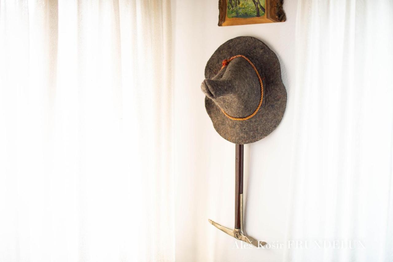 ゴレンスカ地方 Pet & Family Friendly House Viktorija - House Near Golica With Triglav Viewヴィラ エクステリア 写真