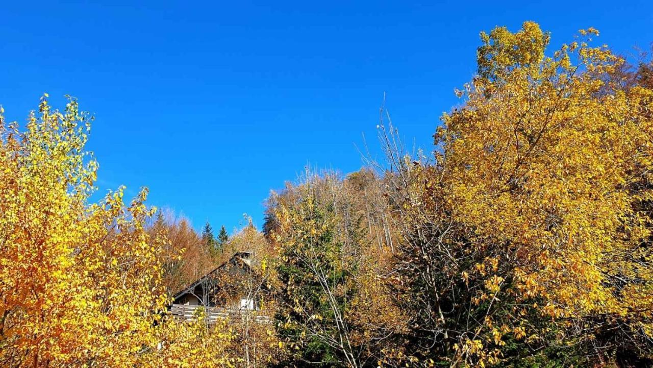 ゴレンスカ地方 Pet & Family Friendly House Viktorija - House Near Golica With Triglav Viewヴィラ エクステリア 写真