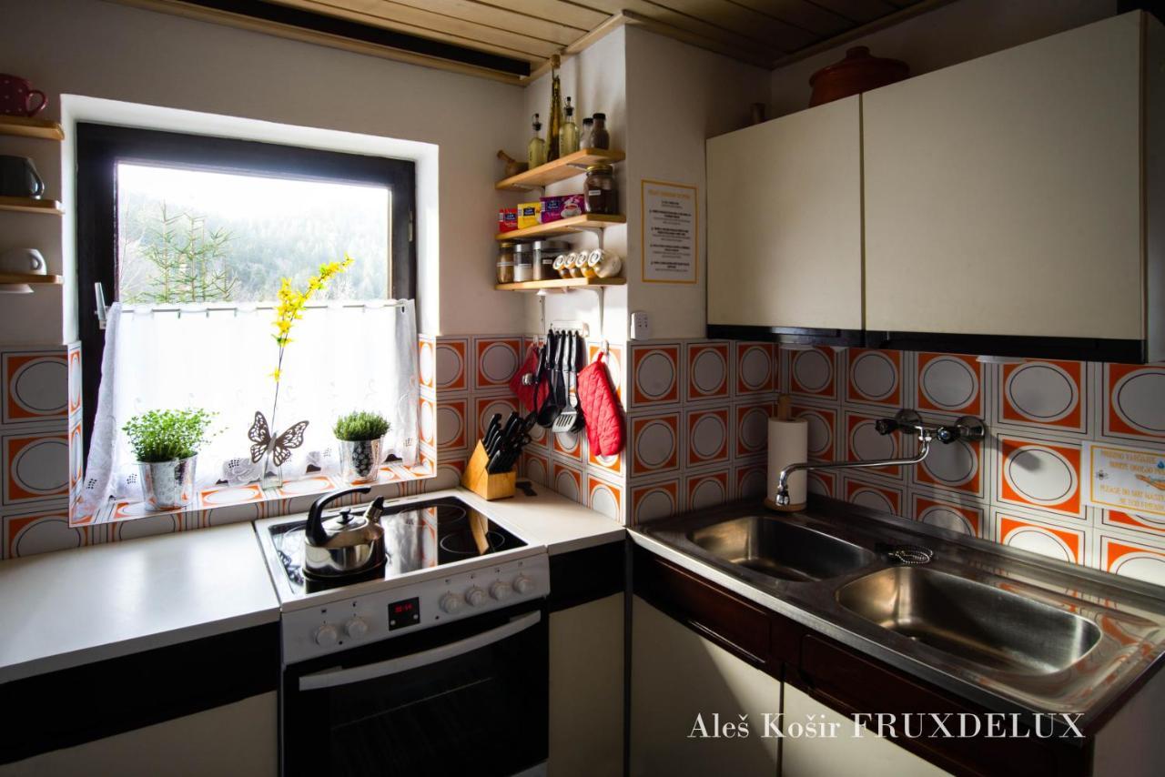 ゴレンスカ地方 Pet & Family Friendly House Viktorija - House Near Golica With Triglav Viewヴィラ エクステリア 写真