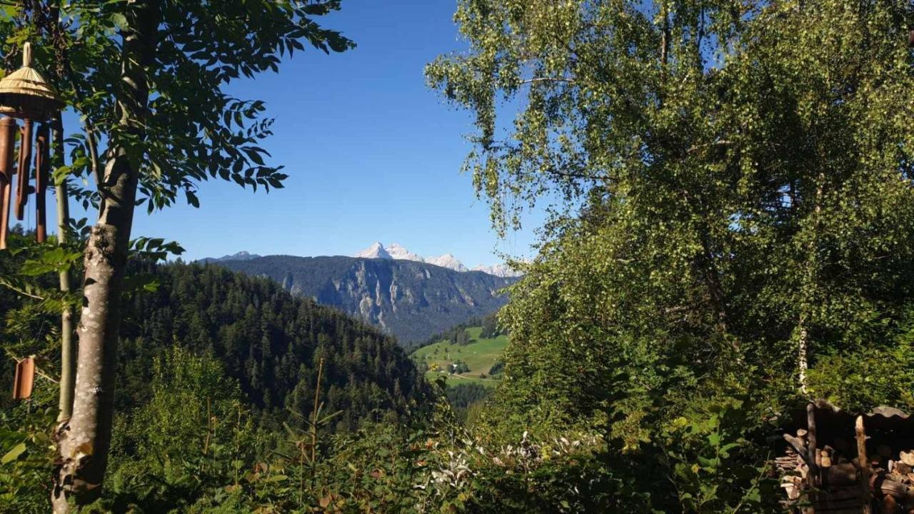 ゴレンスカ地方 Pet & Family Friendly House Viktorija - House Near Golica With Triglav Viewヴィラ エクステリア 写真