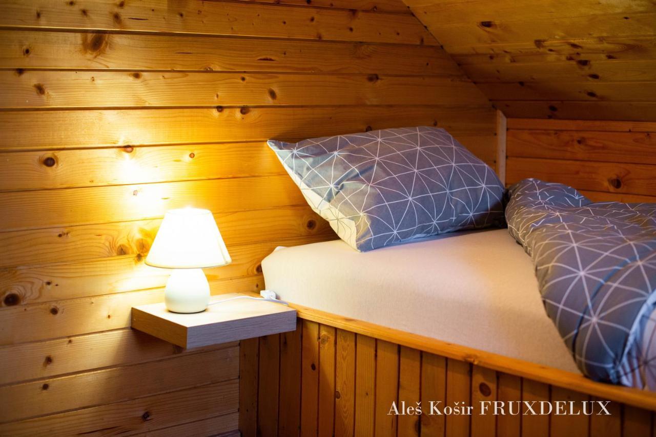 ゴレンスカ地方 Pet & Family Friendly House Viktorija - House Near Golica With Triglav Viewヴィラ エクステリア 写真