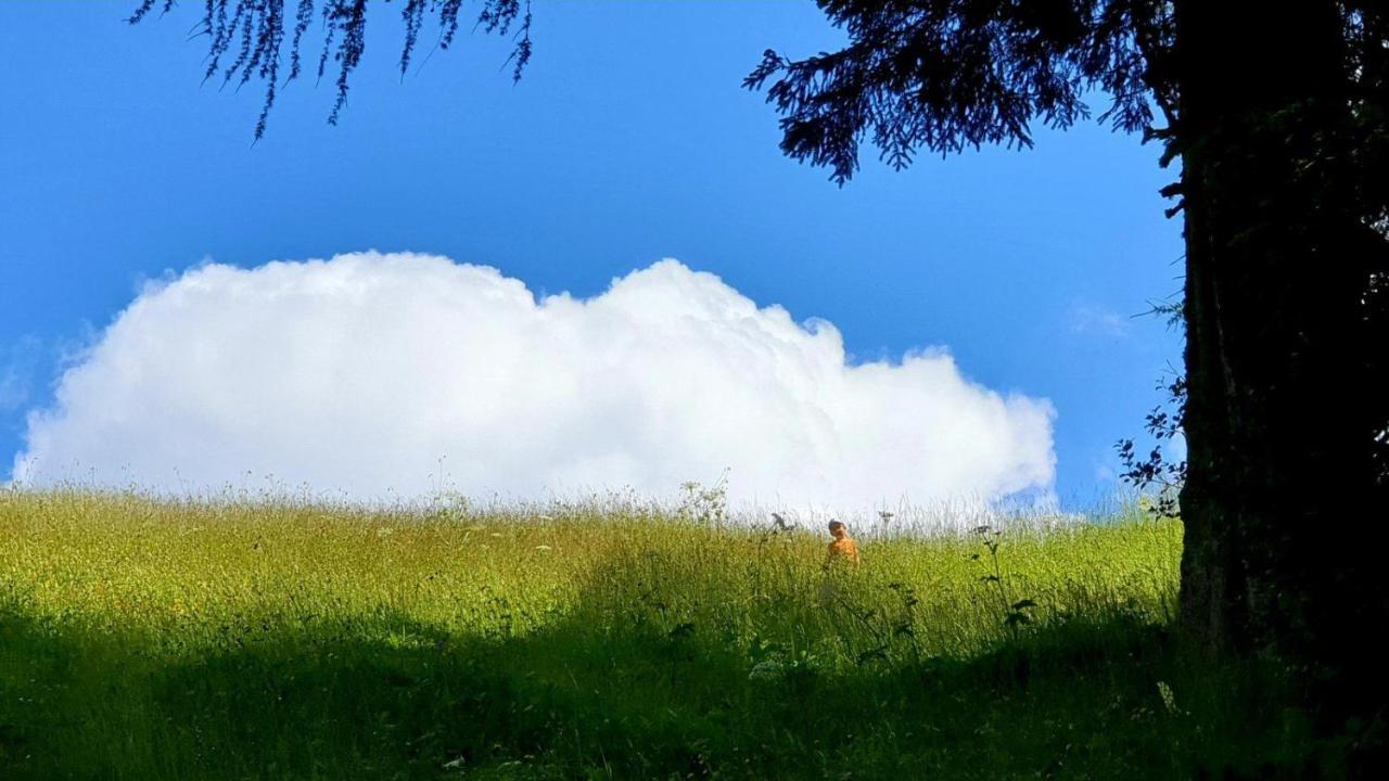 ゴレンスカ地方 Pet & Family Friendly House Viktorija - House Near Golica With Triglav Viewヴィラ エクステリア 写真
